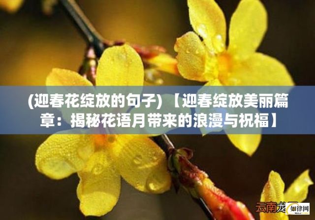 (迎春花绽放的句子) 【迎春绽放美丽篇章：揭秘花语月带来的浪漫与祝福】